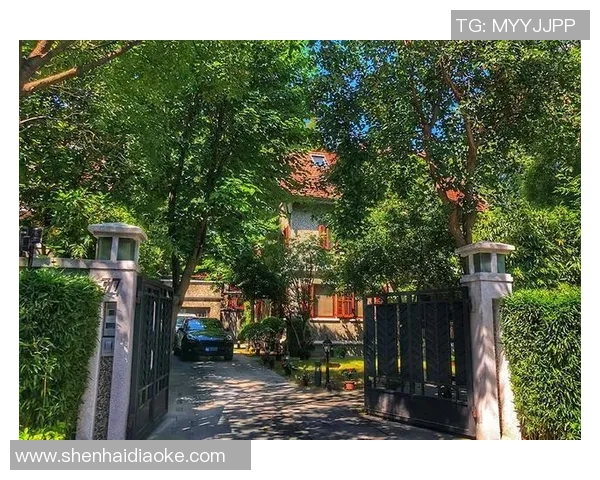 思南公馆姚明的传奇人生与篮球梦想交织的故事